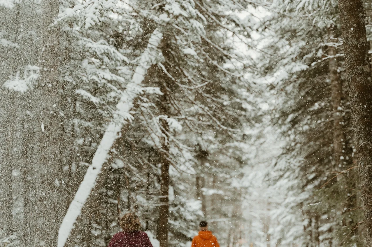 Amy Gagnon Studio Collectif Sentiers de la Savane hiver2025 12