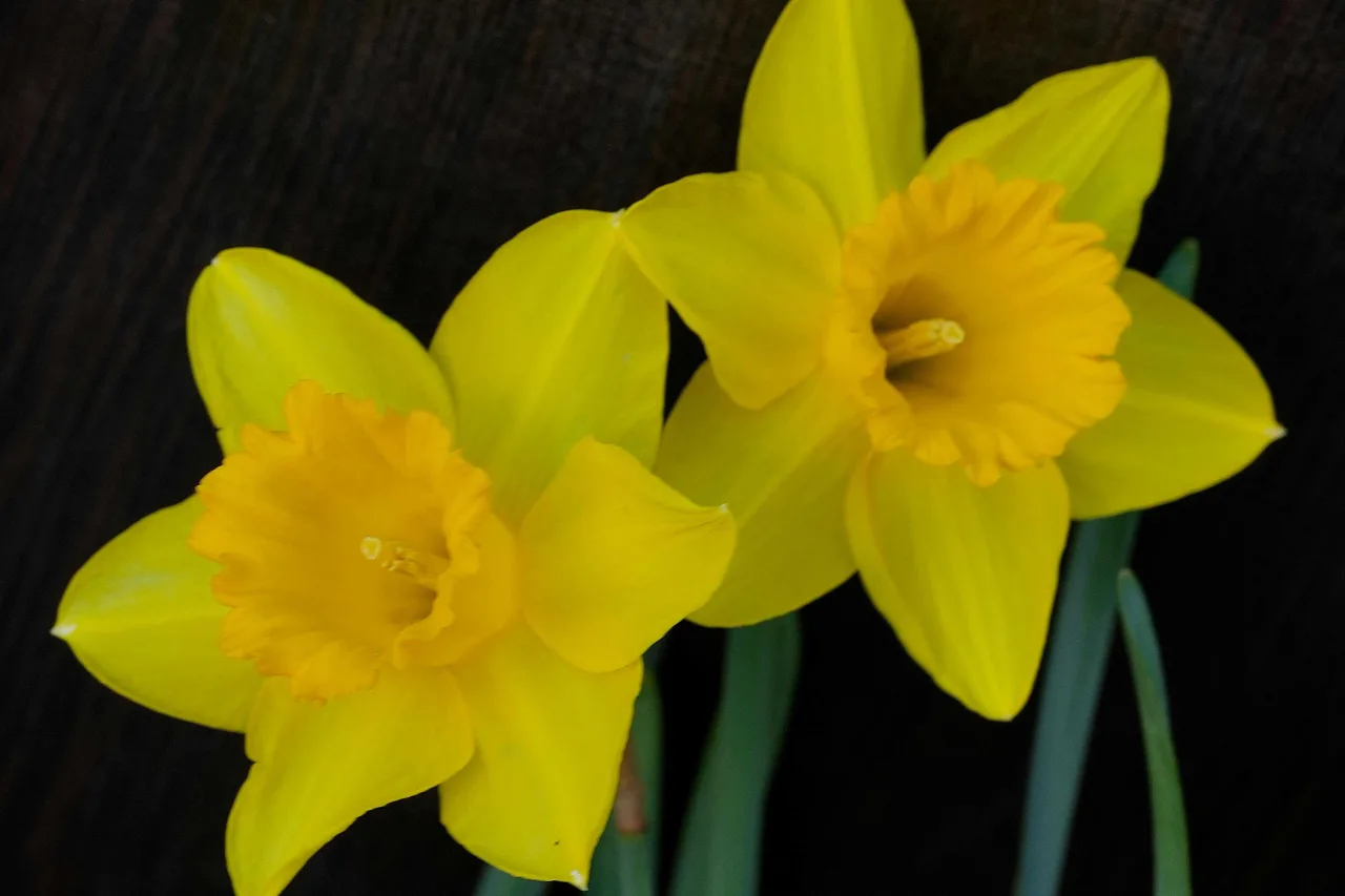 Pexels hatice genc 3580692 36714799