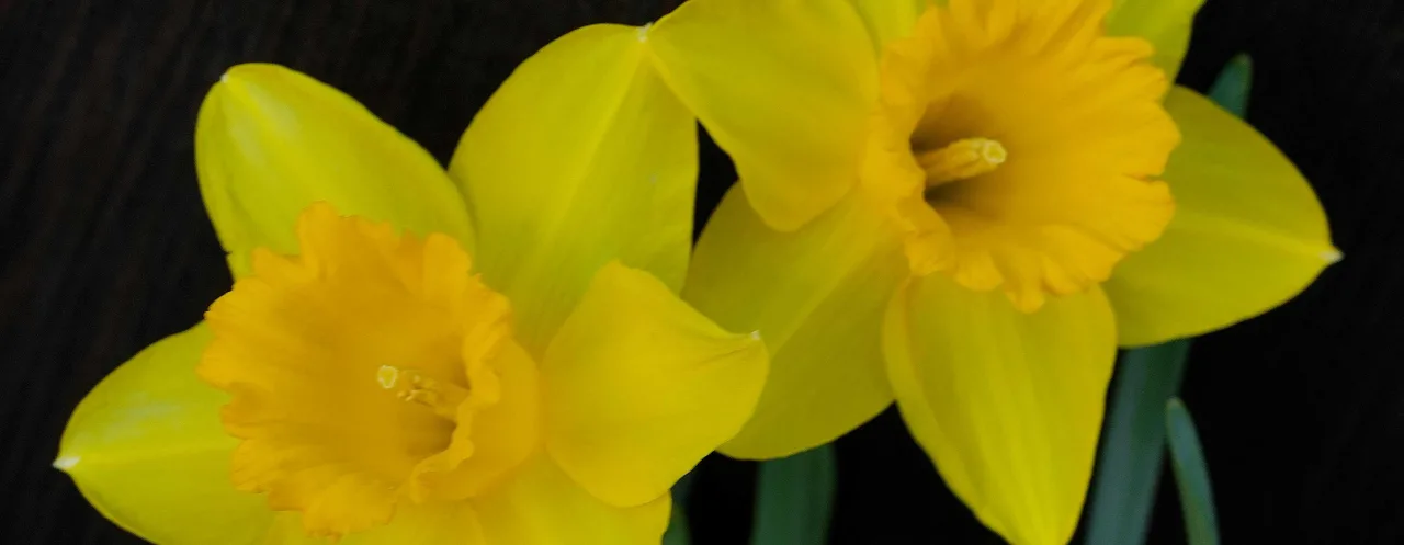 Pexels hatice genc 3580692 36714799