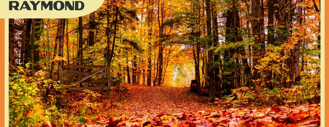 Couverture automne 2026