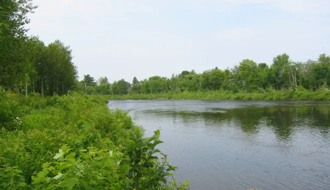 Riviere Sainte Anne 2